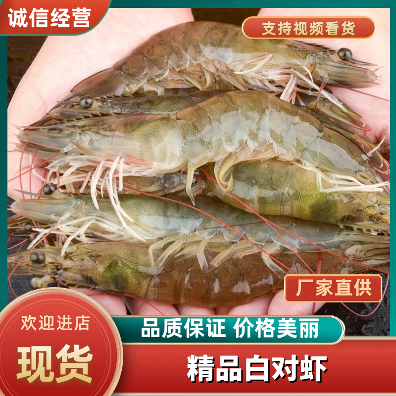 半斤才13元批发南美白对虾活体打包20-40头/斤