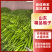【精选】山东淮坊精品瓠瓜产地直发瓠子瓜大价格从优欢迎采购