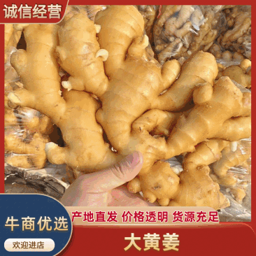 大黄姜（实力供应）对接全国电商市场批发商可视频看货