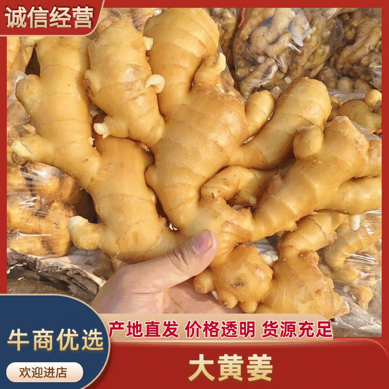 大黄姜（实力供应）对接全国电商市场批发商可视频看货