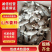 山东姜种368高产王姜种，规格齐全（包技术包回收）产量高