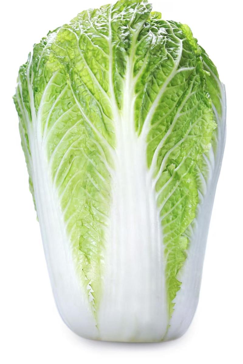 【热卖】精品白菜大白菜一手货源品质保障可视频看货欢迎
