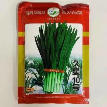 久星10号韭菜种子抗寒抗病叶色深绿青白色辛香味浓