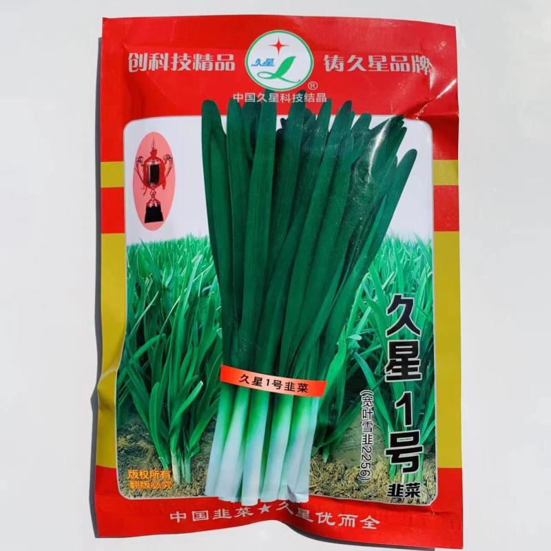 久星1号韭菜种子抗寒抗病抗倒伏叶片绿色长而宽厚