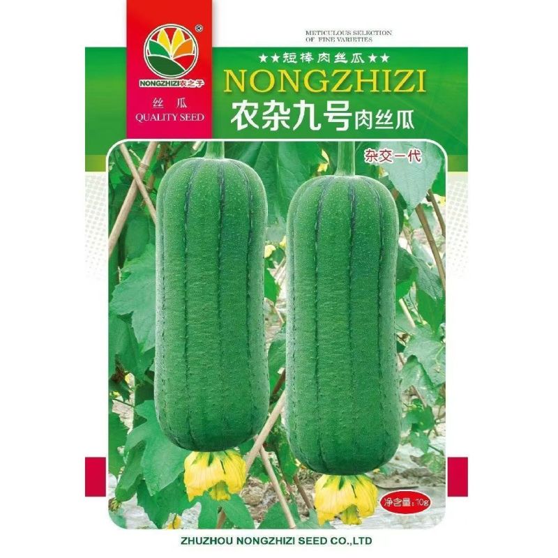 农杂九号肉丝瓜种子耐热短圆筒形皮微皱深绿口感微甜