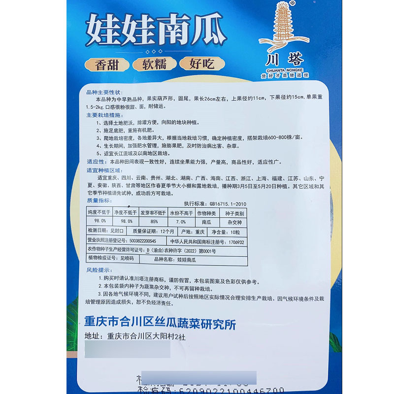 娃娃南瓜种子香甜软糯口感很粉甜面耐储运