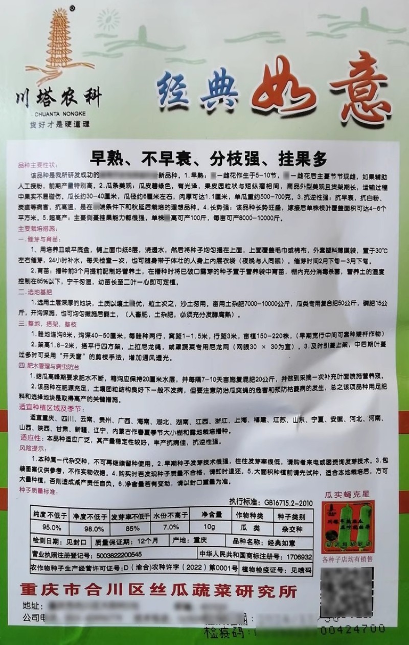 经典如意苦瓜种子早熟不早衰分枝强挂果多瓜皮碧绿
