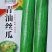 青油丝瓜种子短棒绿油亮圆筒形肉厚味浓