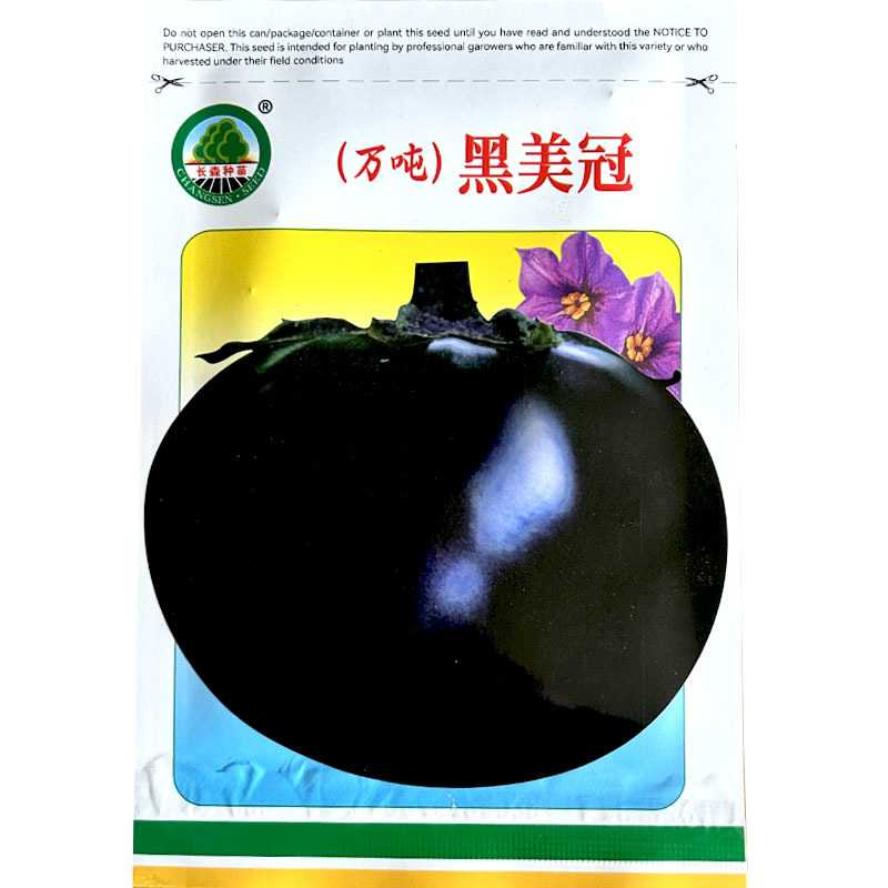 黑圆茄种子万吨黑美冠果肉浅白色大果型油亮基地种植
