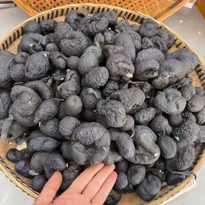 乌灵参乾坤参吊金钟鸡枞胆雷震子产地货源大货批发乌灵参