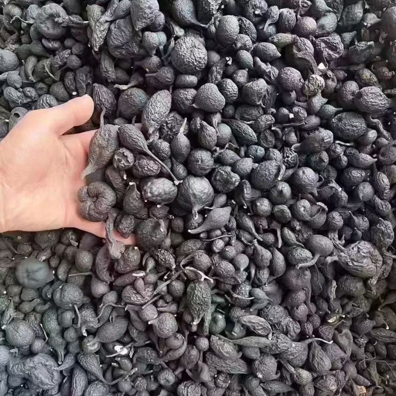 乌灵参乾坤参吊金钟鸡枞胆雷震子产地货源大货批发乌灵参