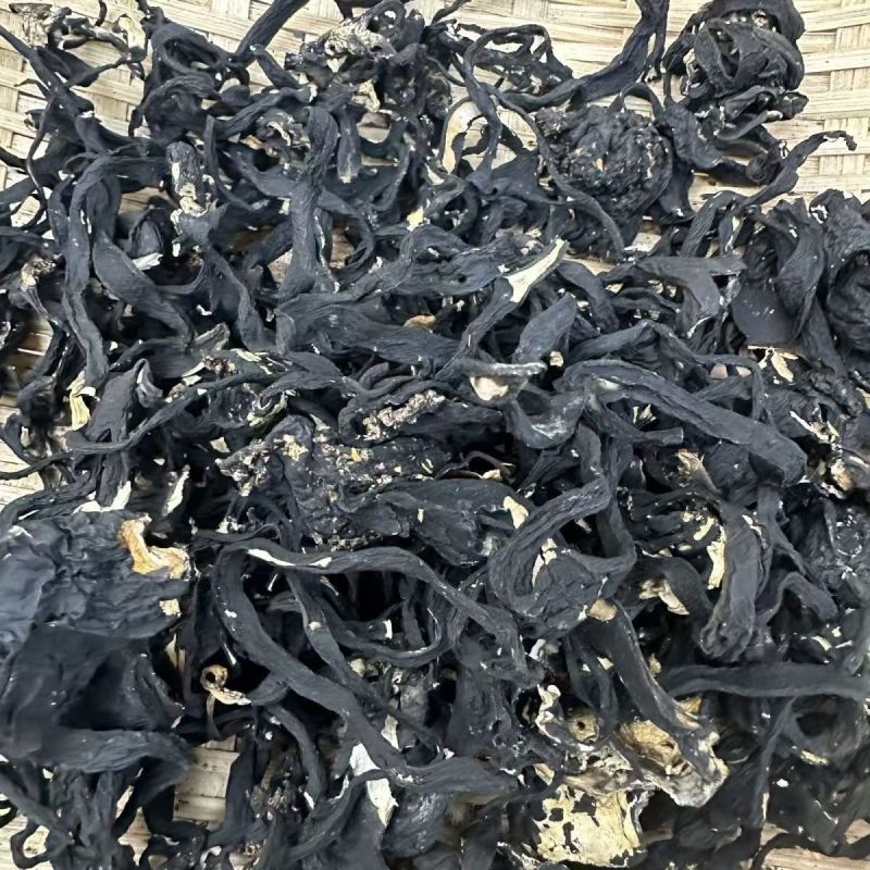 乌灵参根下山货乌灵参根产地货源大货批发