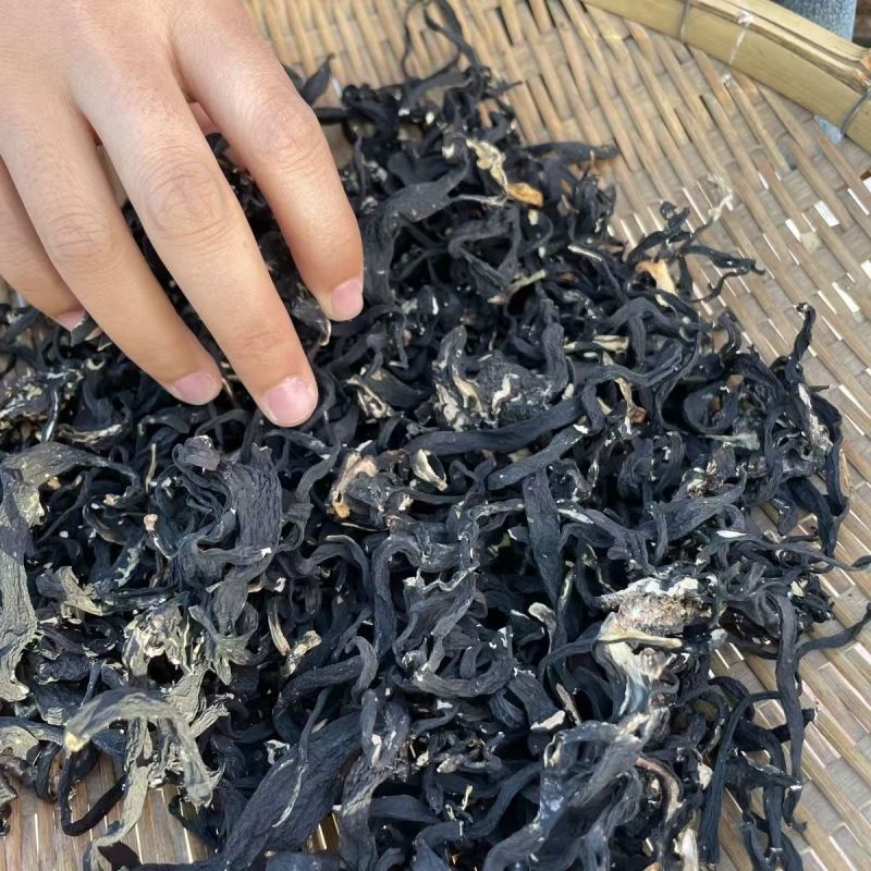 乌灵参根下山货乌灵参根产地货源大货批发
