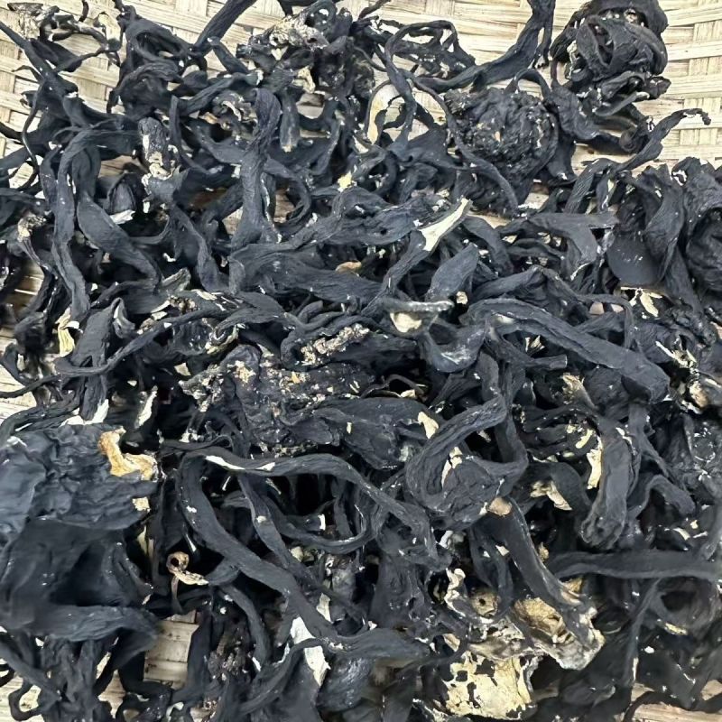 乌灵参根下山货乌灵参根产地货源大货批发