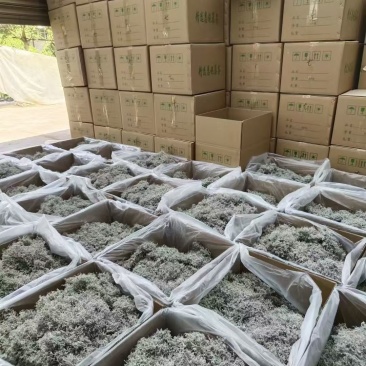 莓茶张家界莓茶藤茶牙尖莓茶产地货源大货批发