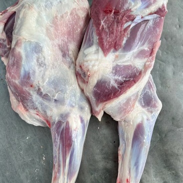 清真【大羊前腿】新鲜杀速冻呼伦贝尔天然草羊