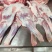 清真【大羊前腿】新鲜杀速冻呼伦贝尔天然草羊