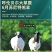 清真【羔羊后腿】新鲜杀速冻呼伦贝尔天然草羊