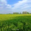 刘阳春的一亩田店铺