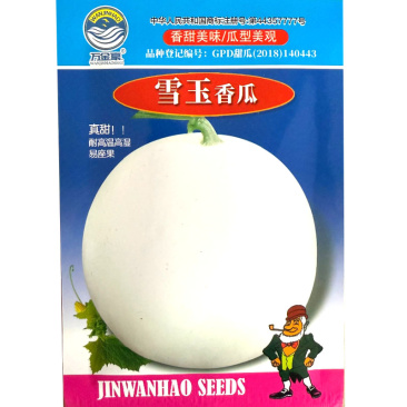 雪玉香瓜种子耐高温高湿易座果薄皮肉质细嫩香甜美味