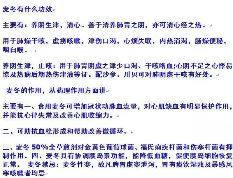 大叶麦冬中药材麦冬苗农村种植基地直销