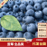 山东【蓝莓】瑞卡F6，H5，L25等对接市场档口电商