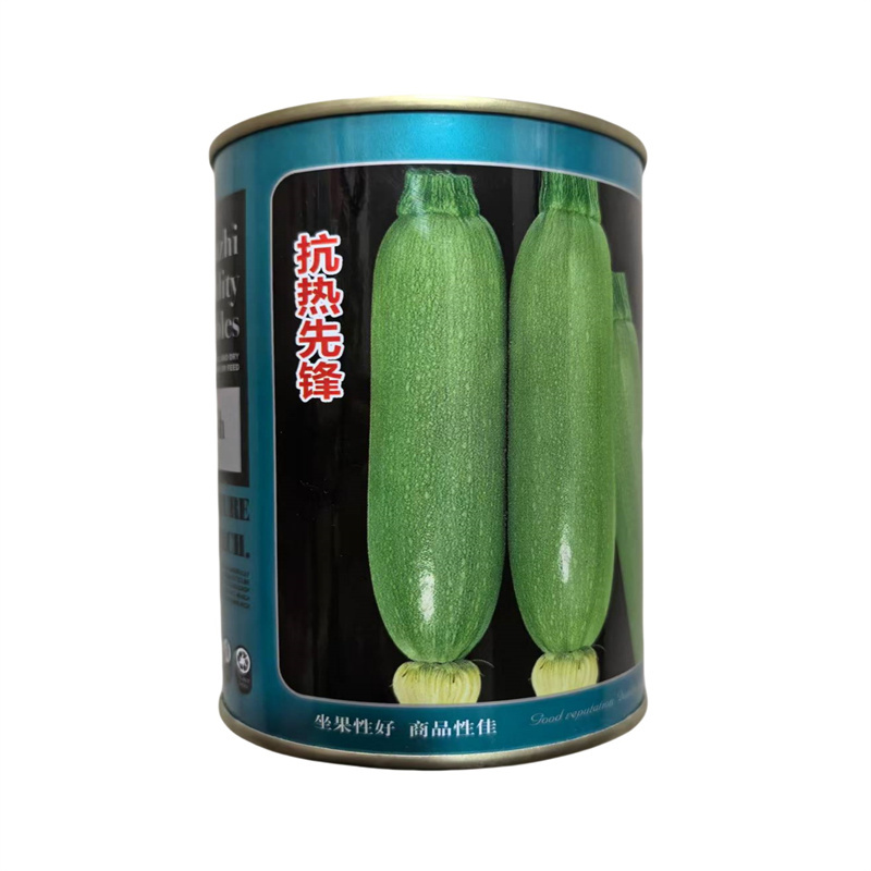 抗热先锋西葫芦种子耐高温高产绿皮西葫芦种子