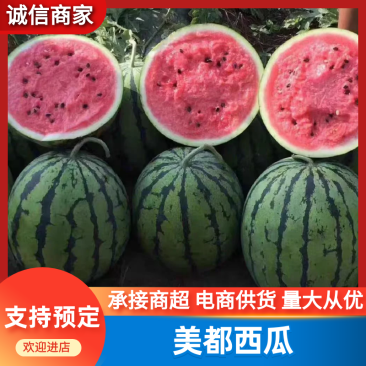 西瓜/美都西瓜/沙瓤西瓜/全国代办/供应电商市场