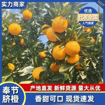 重庆奉节脐橙72一1,质量保证基地现摘,现货全国发货