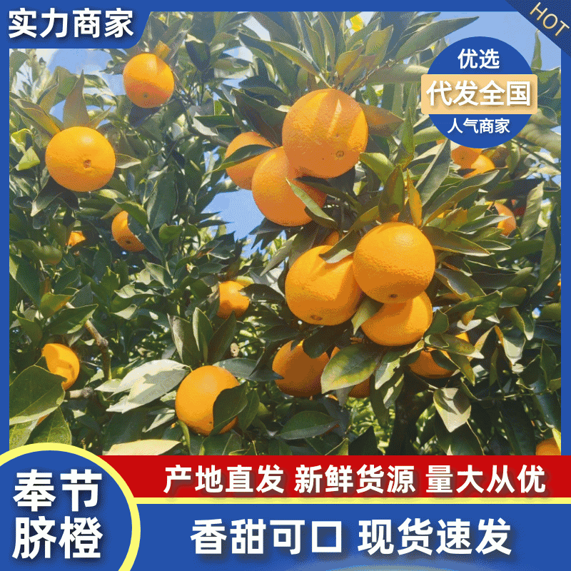 重庆奉节脐橙72一1，质量保证基地现摘，现货全国发货