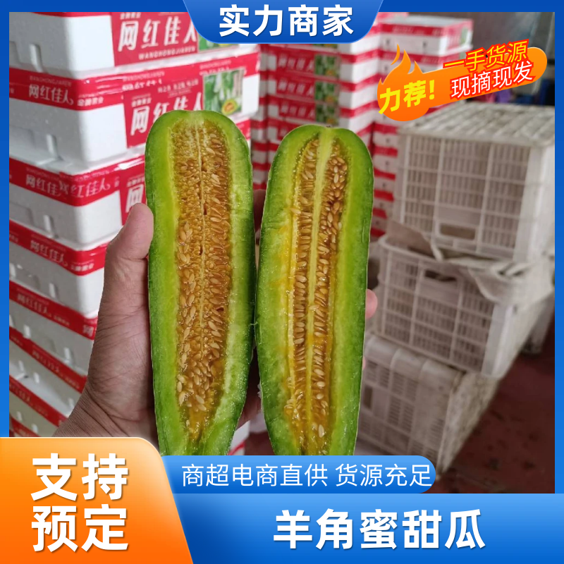寿光羊角蜜甜瓜博洋61博洋九蜜园市场货电商产地量大口感好