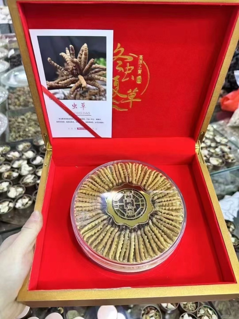 选购正宗虫草冬虫夏草超值性价比产地直发那曲虫草批发