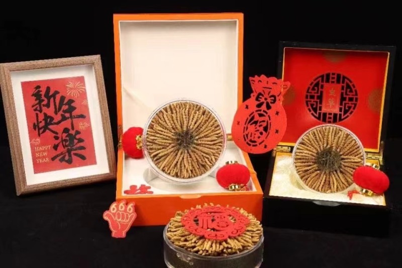 选购正宗虫草冬虫夏草超值性价比产地直发那曲虫草批发
