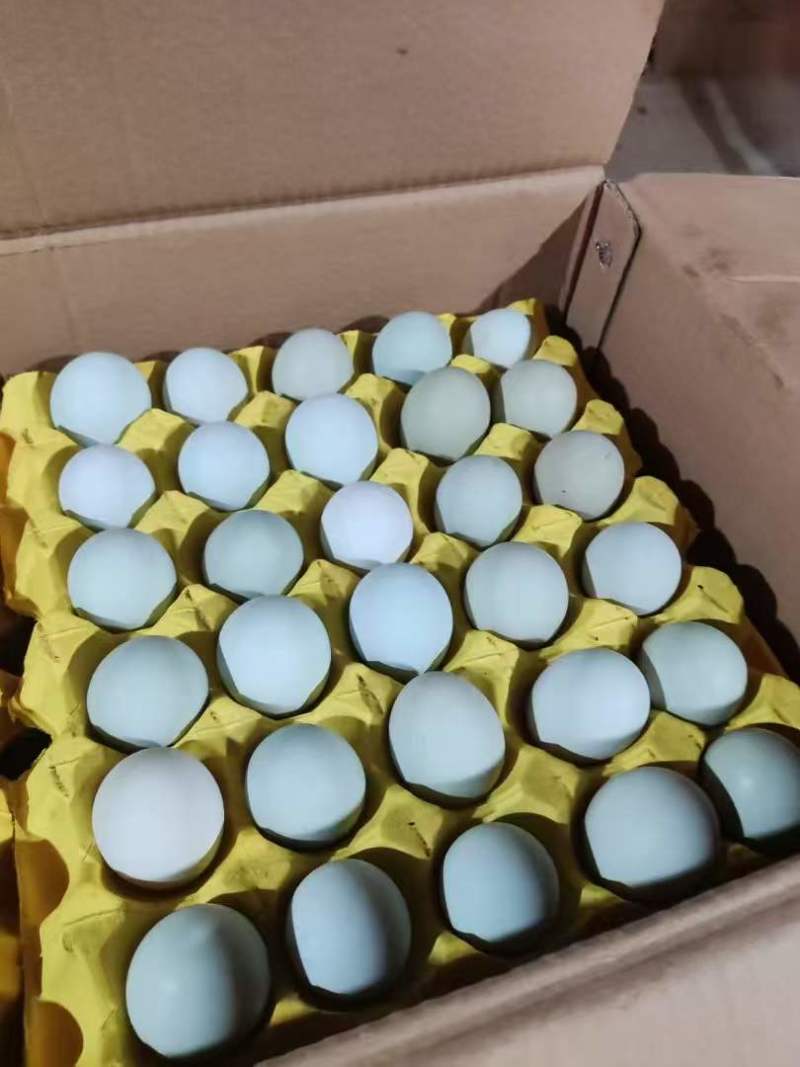 绿壳蛋农户一手货源保质保量供货价钱实惠