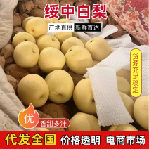 辽宁绥中县白梨大量供应，货源充足，量大从优，欢迎咨询联系