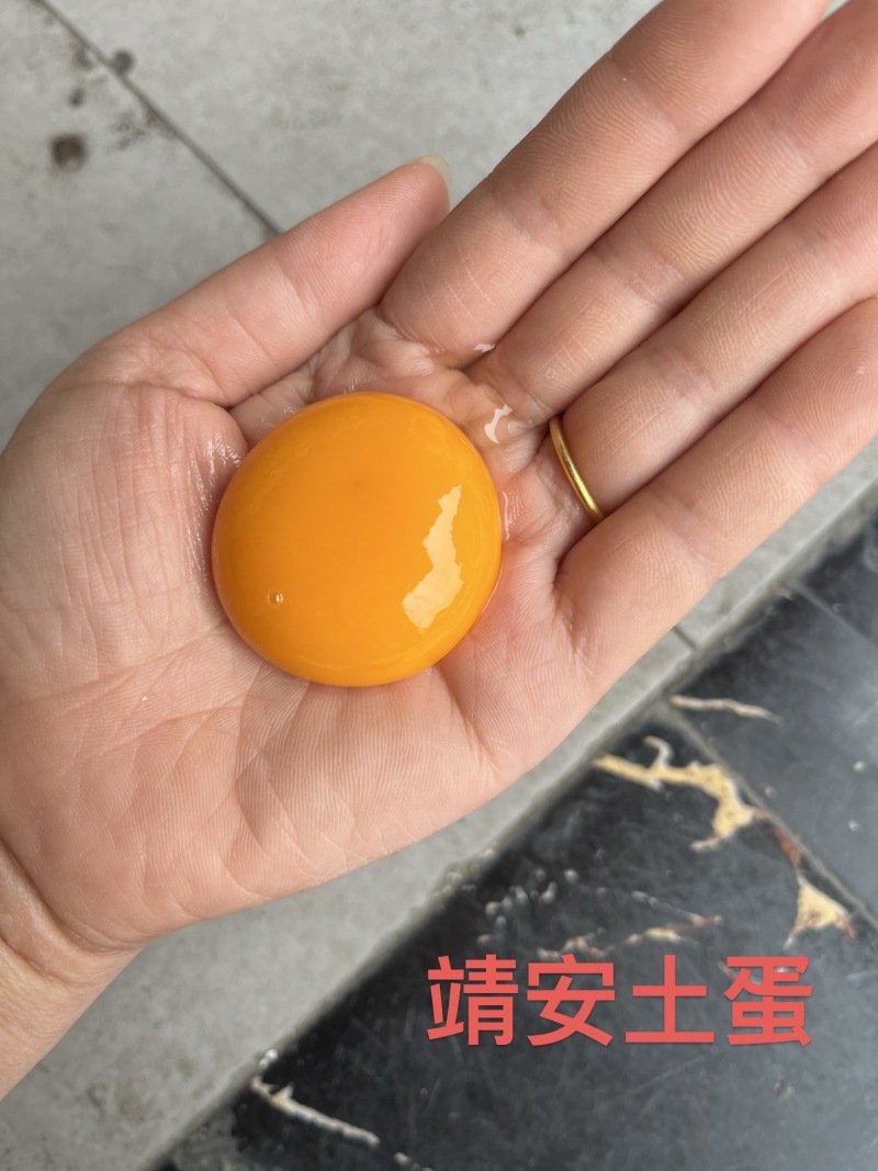 土鸡蛋批发零售农户一手货源价钱实惠品质保证
