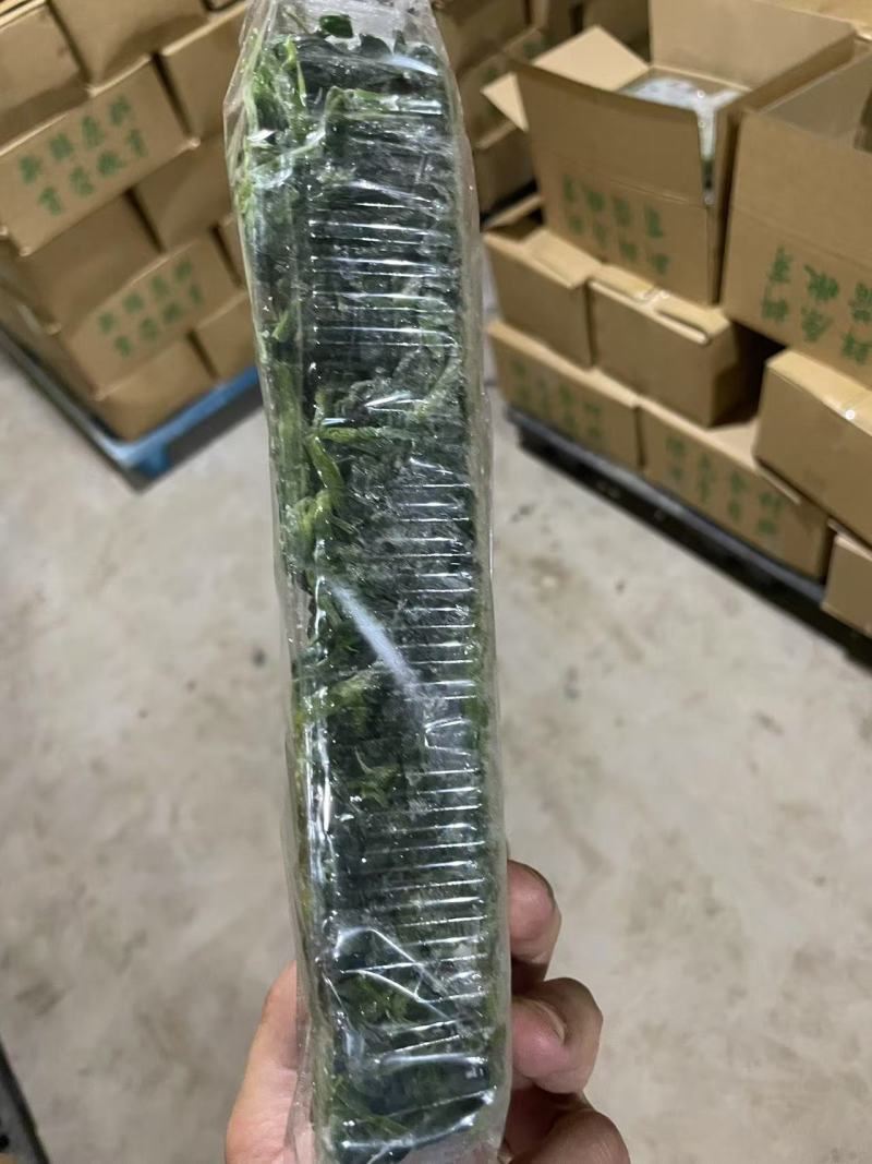 速冻黄须菜无公害产地一手货源量大从优价格美丽
