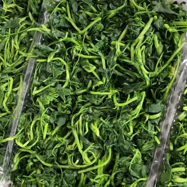速冻黄须菜无公害产地一手货源量大从优价格美丽