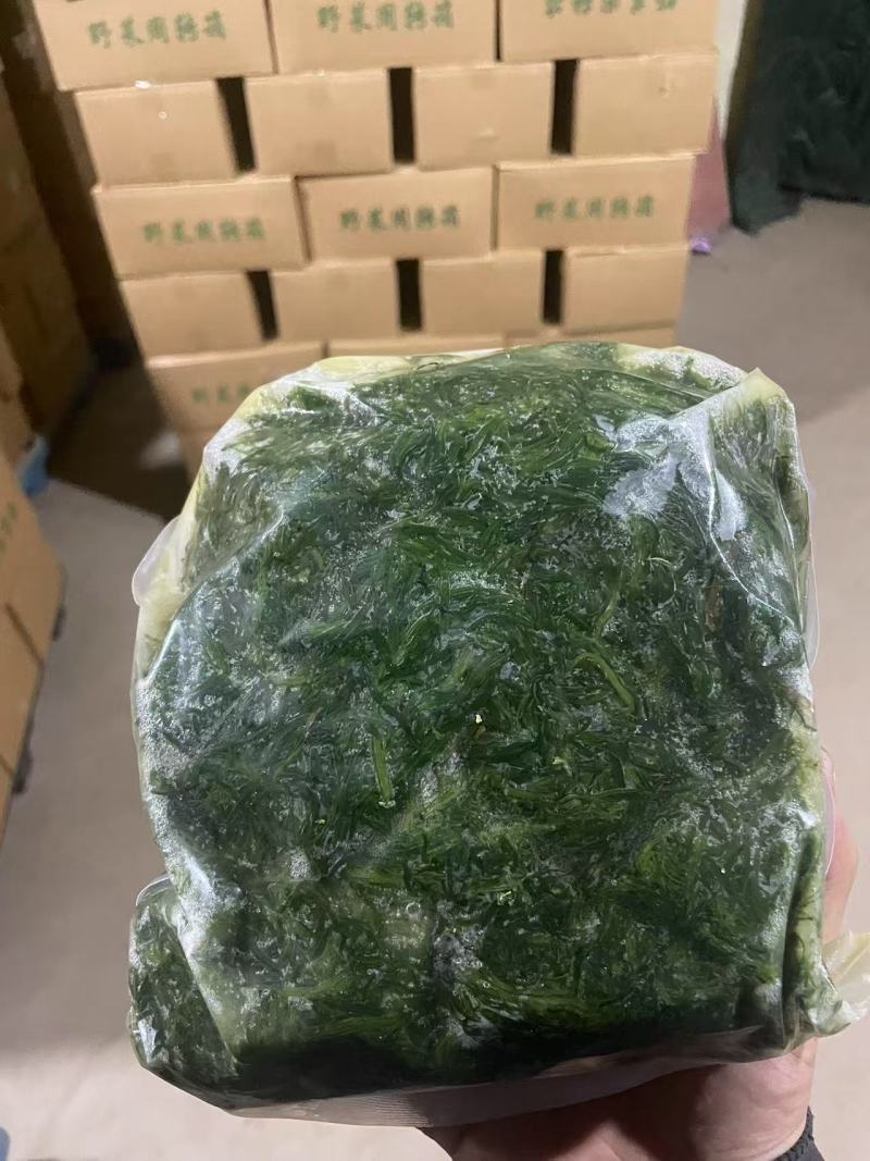 速冻黄须菜无公害产地一手货源量大从优价格美丽