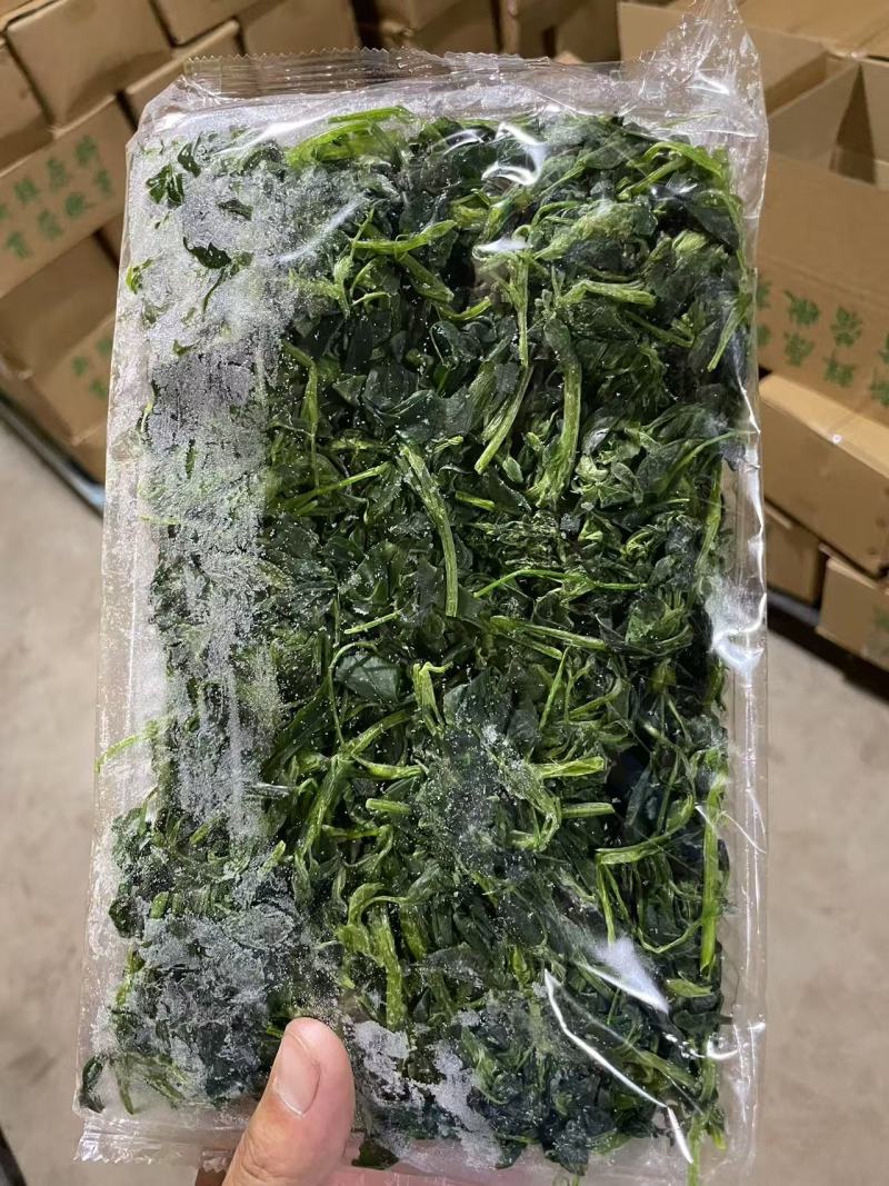 速冻黄须菜无公害产地一手货源量大从优价格美丽