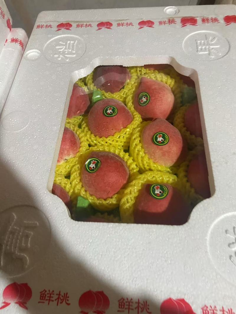 河北精品桃子春雪桃一手货源产地直发代发全国欢迎果汁桃
