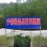 【纽荷尔脐橙苗】赣州原产地脐橙苗生长速度快成活率高产量高
