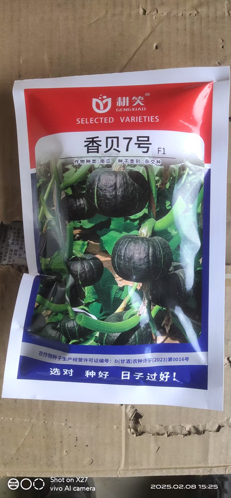 香贝7号贝贝种子大果贝贝品质好产量高厂家批发1000粒装