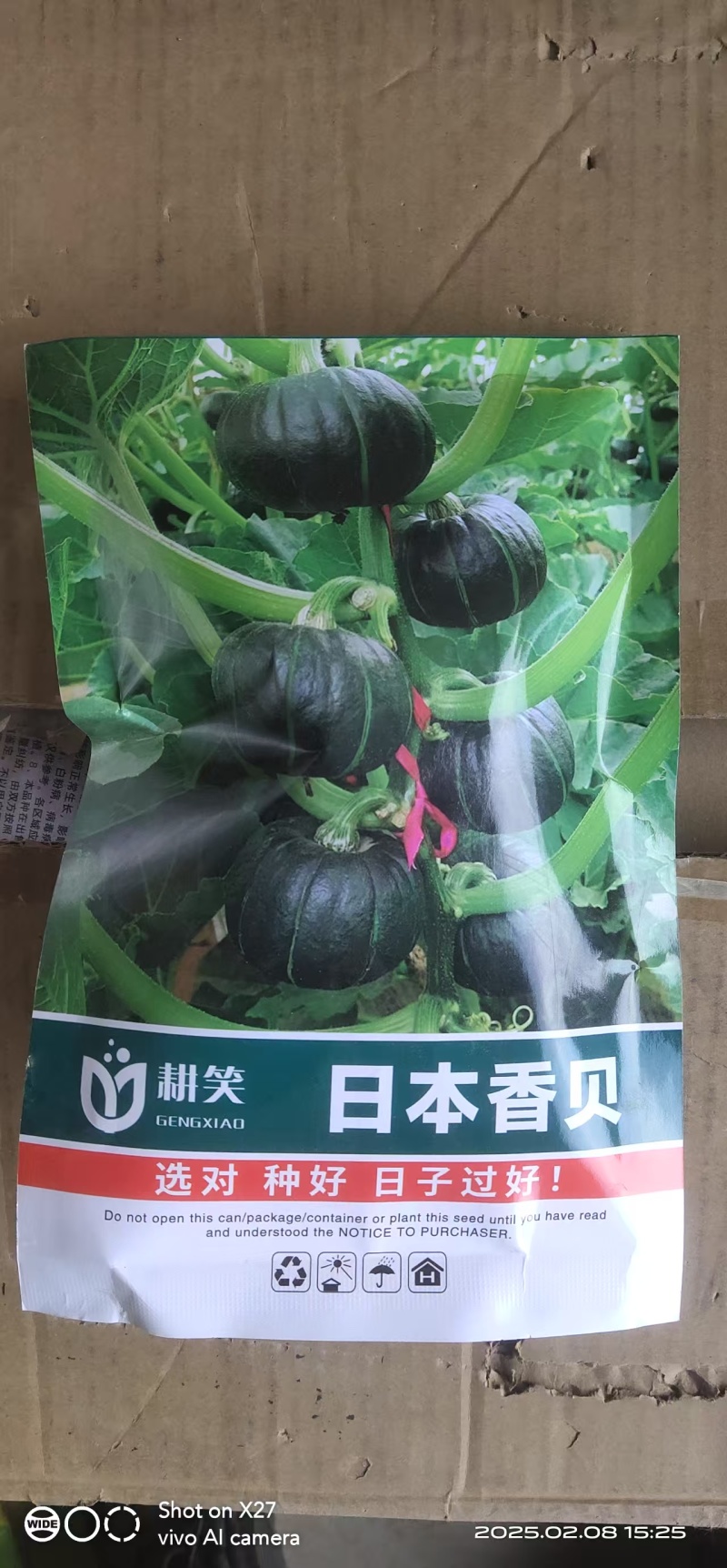 香贝7号贝贝种子大果贝贝品质好产量高厂家批发1000粒装