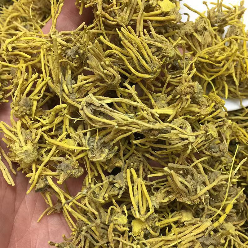 黄龙根黄龙草黄龙草根黄龙根