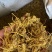 黄龙根黄龙草黄龙草根黄龙根