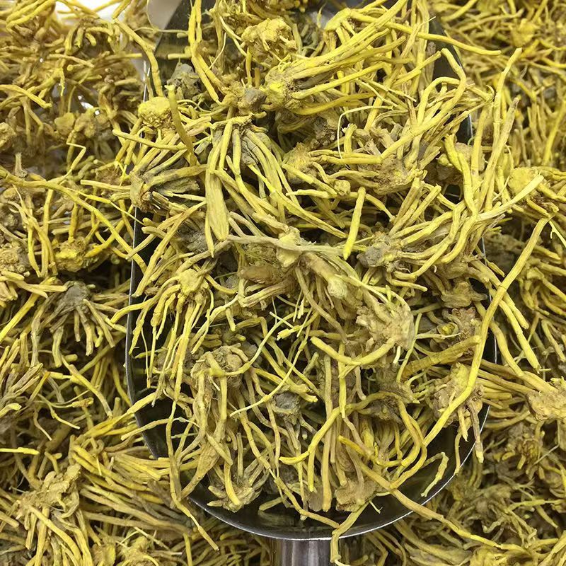 黄龙根黄龙草黄龙草根黄龙根