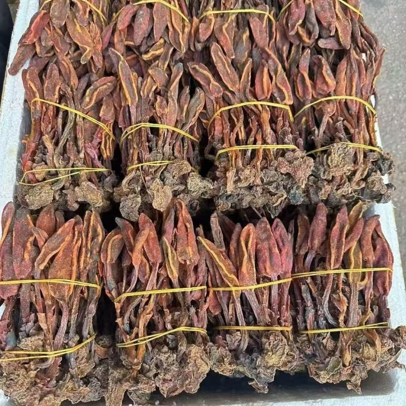 回春草产地货源大货批发