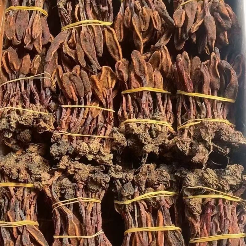 回春草产地货源大货批发