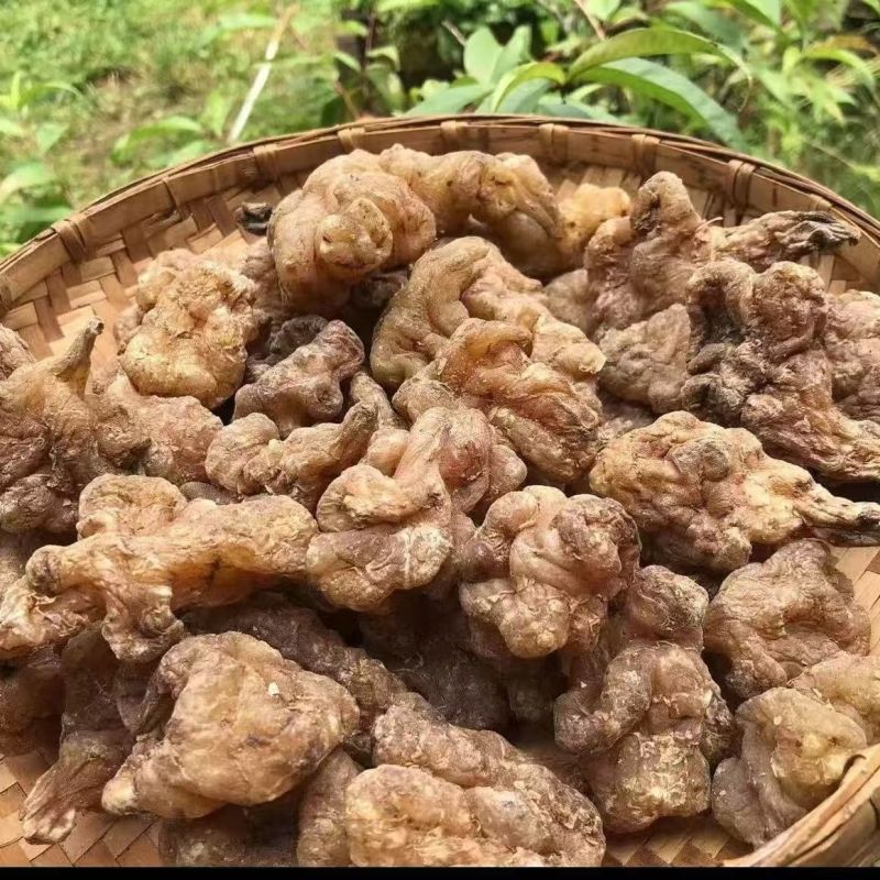 玉精灵玉精灵玉精灵玉精灵玉精灵大货批发
